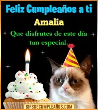 GIF Gato meme Feliz Cumpleaños Amalia